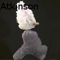 Leo  Atkinson  -  - 